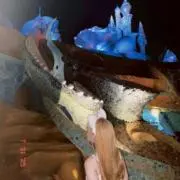 mmの画像