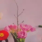 うみ