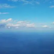 はな日和の画像