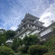 TTAちゃんの画像