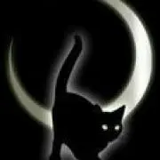 黒猫