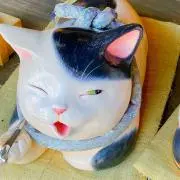 みみの画像