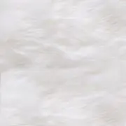 ぴっぴの画像