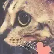 Little☆(*´꒳`*)プロフ必読の画像