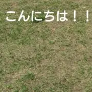 さんまブルー(´；ω；｀)分解大好き大王の画像