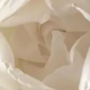 Isanaの画像