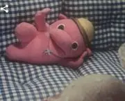 246881の画像