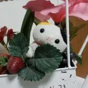 くうの画像