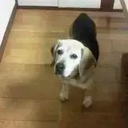 みん