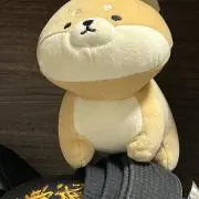 R.プロフ必読の画像
