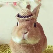 おねむり☆