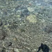 OOALの画像