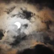 チヒロの画像