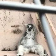 みなもの画像