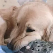 なっちの画像