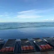 ピロロの画像