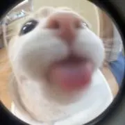 児山の画像