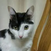 りっちゃん