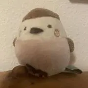Pukuの画像