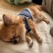 ツカジィ