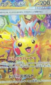 へけへけたろうまる(偽名)