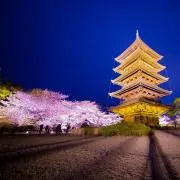 響く都