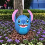 ayn★の画像
