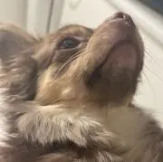 ♡♡♡の画像