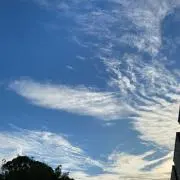 パッキー