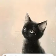 こうママの画像
