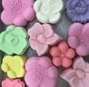 まろんの画像