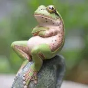 カノン
