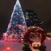 Nの画像