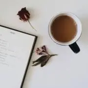のこ。の画像