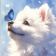 kプロフ必読の画像