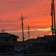 かもめの画像