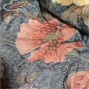 ブルーの画像
