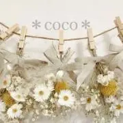 ＊ coco ＊