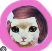 てくてくきのこ