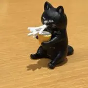 はるの画像