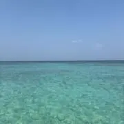 SEABASEの画像