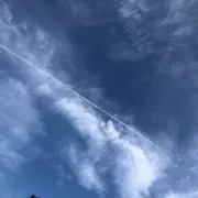 めんめ