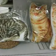 ぷっぷるの画像