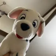 ここあさんの画像