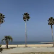 KENの画像