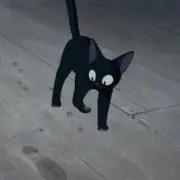 ゆちゃんの画像