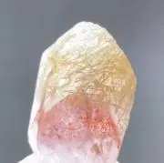 tamの画像