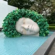 たんたん