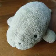 ちいさいマナティの画像