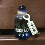 まりもの画像